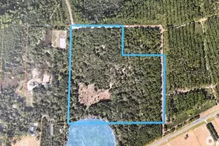 Smith Rd, Seville, FL 32190 - Photo 1