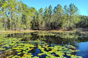 Smith St, Astor, FL 32102 - Photo 1