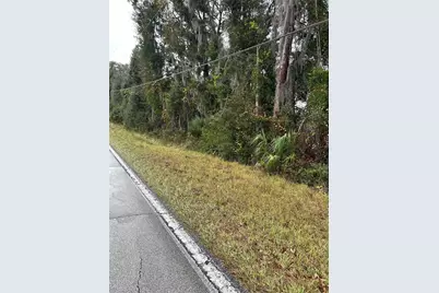 Emporia Road, Pierson, FL 32180 - Photo 1