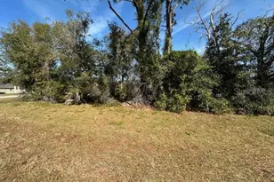 2931 Lake Helen Osteen Rd, Deltona, FL 32738 - Photo 1