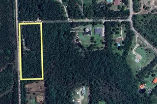 3789 Pine Pitch Ct, Ormond Beach, FL 32174 - Photo 1