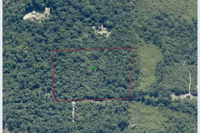 6989 N Tamarind Avenue, Hernando, FL 34442 - Photo 1