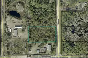 2370 Guava Ln, Bunnell, FL 32110 - Photo 1
