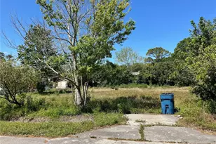 156 Mae St, Oak Hill, FL 32759 - Photo 1