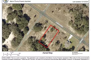 SE 113 Street Rd, Ocklawaha, FL 32179 - Photo 1