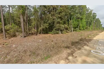 0000 Quail Hollow Road, Satsuma, FL 32189 - Photo 1