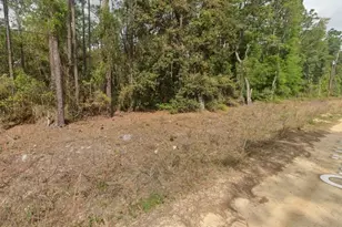 0000 Quail Hollow Rd, Satsuma, FL 32189 - Photo 1