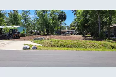 Armadillo Rd, Astor, FL 32102 - Photo 1