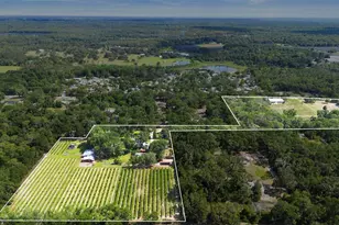1056 Reynolds Rd, De Leon Springs, FL 32130 - Photo 1