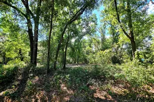 162 Putnam Loop Rd, Melrose, FL 32666 - Photo 1