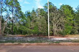 Donovan Ave, Interlachen, FL 32148 - Photo 1