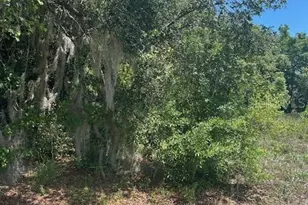 Marta Rd, Debary, FL 32713 - Photo 1