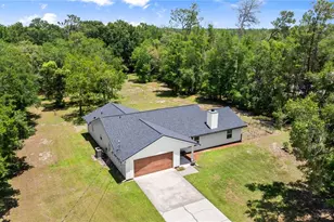 2455 Whooping Crane Dr, De Leon Springs, FL 32130 - Photo 1