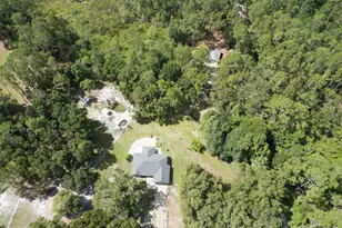 1135 Peterson Rd, Pierson, FL 32180 - Photo 1