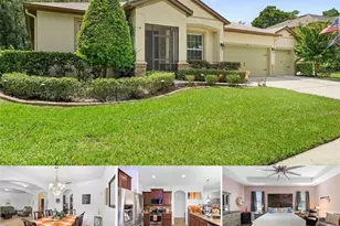 541 Morgan Wood Dr, Deland, FL 32724 - Photo 1