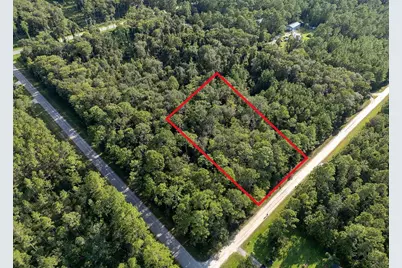 5003 Willow Lane, Bunnell, FL 32110 - Photo 1