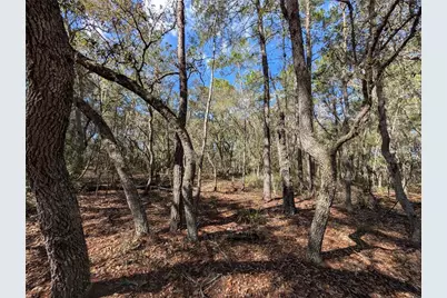 120 & 122 North Carolina Drive, Satsuma, FL 32189 - Photo 1