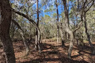 120 & 122 North Carolina Dr, Satsuma, FL 32189 - Photo 1