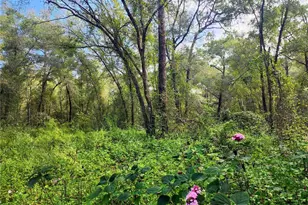 San Juan St, Deland, FL 32724 - Photo 1