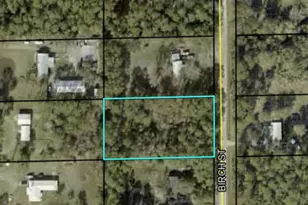 1082 Birch St, Bunnell, FL 32110 - Photo 1
