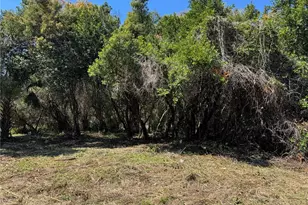 Beau Ct, Orange City, FL 32763 - Photo 1