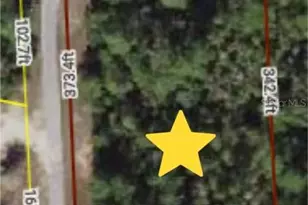 Marion Oaks Ln, Ocala, FL 34473 - Photo 1