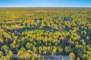 Turkey Roost Rd, Deland, FL 32724 - Photo 1