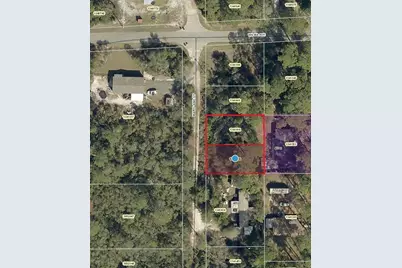 Maryland Street, Paisley, FL 32767 - Photo 1