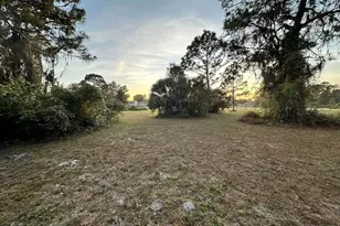 2870 Apaloosa Trail, Deltona, FL 32738 - Photo 1