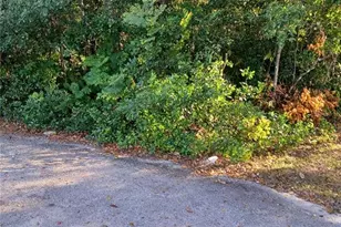 1193 Acorn Ct, Deltona, FL 32725 - Photo 1