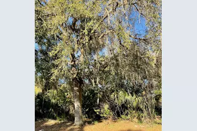 Osteen Maytown Road, Osteen, FL 32764 - Photo 1