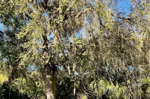 Osteen Maytown Rd, Osteen, FL 32764 - Photo 1