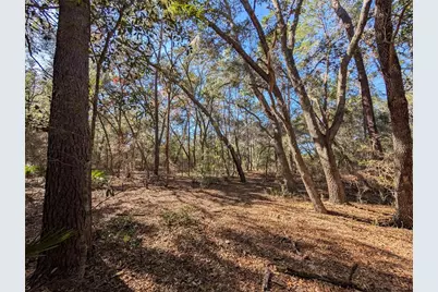 Lake Margaret Blvd, Pomona Park, FL 32181 - Photo 1