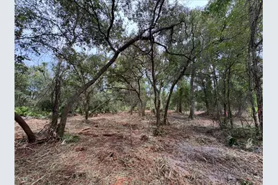 Spring Garden Ranch Rd, De Leon Springs, FL 32130 - Photo 1
