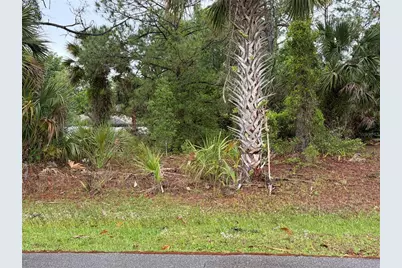 31 Whittingham Lane, Palm Coast, FL 32164 - Photo 1