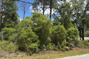 Maryland St, Paisley, FL 32767 - Photo 1