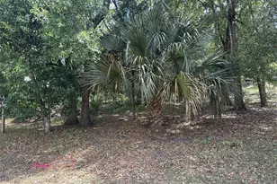 E Elm Dr, Orange City, FL 32763 - Photo 1