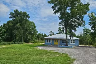 290 Redwood Ave, Orange City, FL 32763 - Photo 1