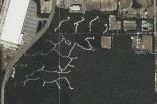 Belaire (Paper) Ave, Deltona, FL 32725 - Photo 1