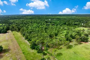 4600 Saddle Creek Run, New Smyrna Beach, FL 32168 - Photo 1