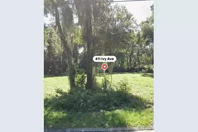 411 Ivy Avenue, Deland, FL 32724 - Photo 1