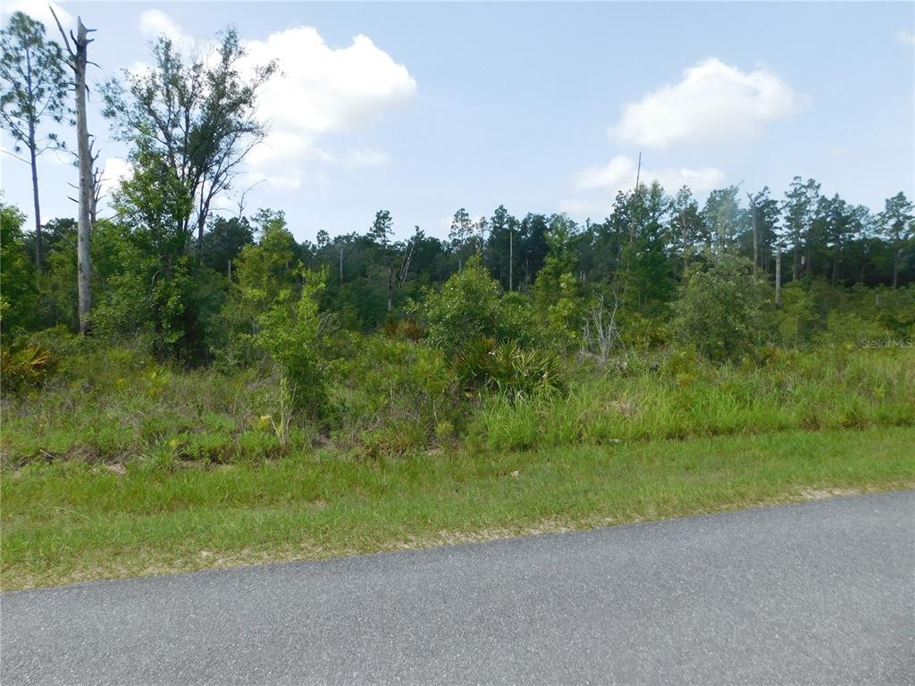 11098 Yellow Hammer Rd, Weeki Wachee, FL 34614 MLS W7846310 Coldwell Banker