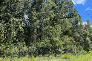 NW US 19 Hwy, Chiefland, FL 32626 - Photo 1