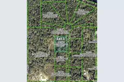 0 Republican (Lot 3) Way, Brooksville, FL 34601 - Photo 1