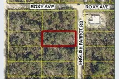 14100 English Parrot Road, Weeki Wachee, FL 34614 - Photo 1