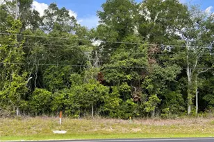 Us 19, Chiefland, FL 32626 - Photo 1
