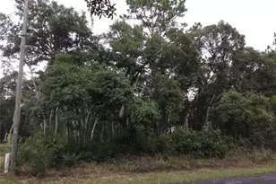 7265 N Westbrook Way, Dunnellon, FL 34433 - Photo 1