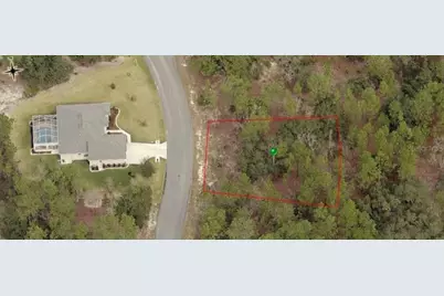 31 Hackberry Drive, Homosassa, FL 34446 - Photo 1