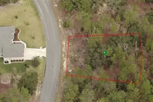 31 Hackberry Dr, Homosassa, FL 34446 - Photo 1