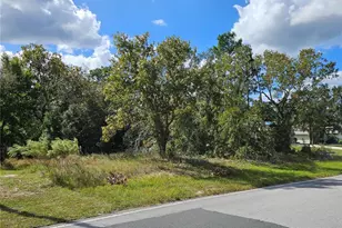 89 Cypress Blvd E, Homosassa, FL 34446 - Photo 1